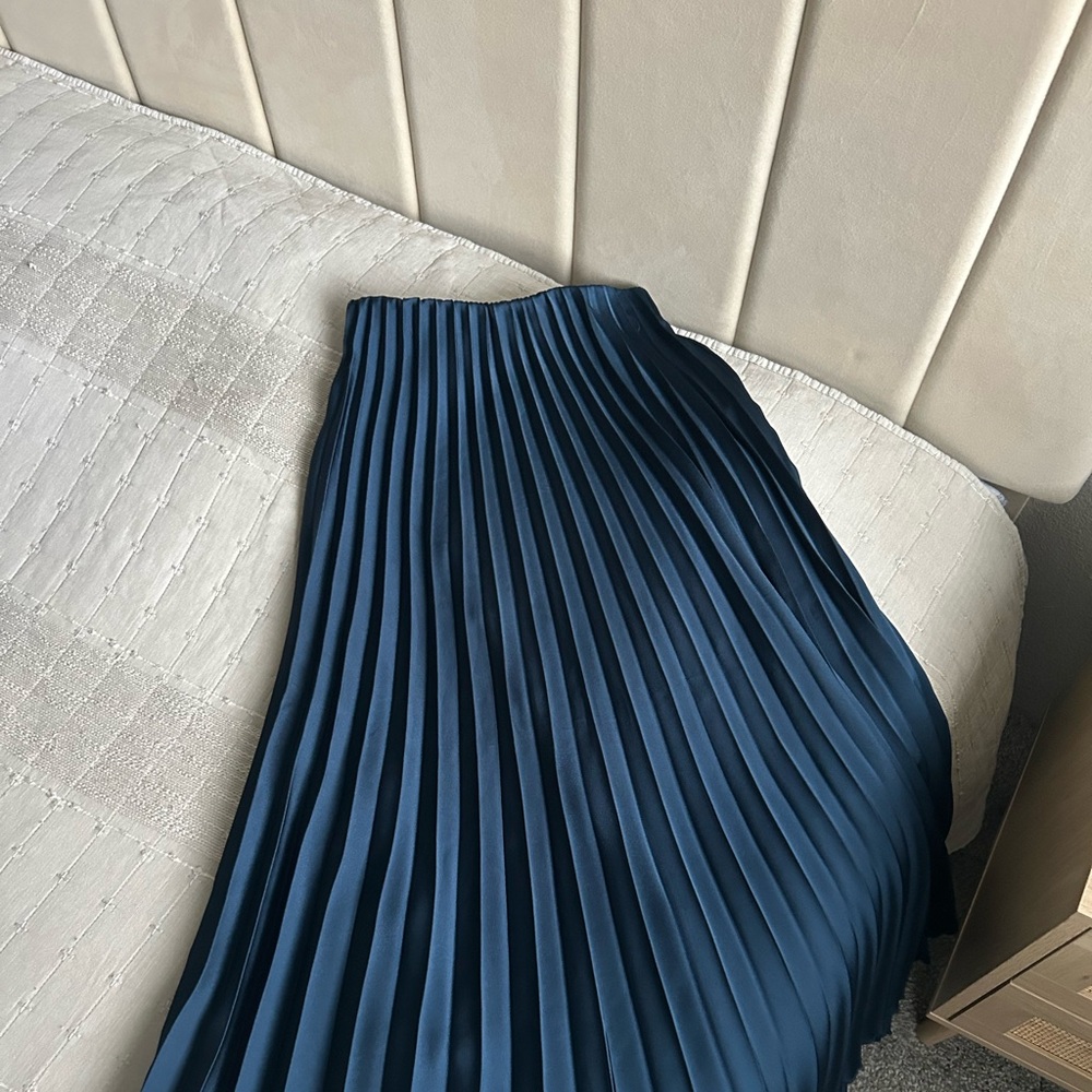 Zara Navy A-Line Pleated Skirt